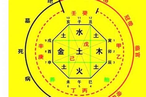 用神查詢|生辰八字算命、五行喜用神查詢（免費測算）